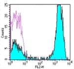 CD3 Antibody in Flow Cytometry (Flow)