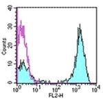 CD3 Antibody in Flow Cytometry (Flow)