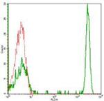 CD4 Antibody in Flow Cytometry (Flow)