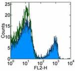 CD8b Antibody in Flow Cytometry (Flow)