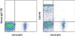 CD8a Antibody in Flow Cytometry (Flow)