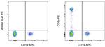 CD8a Antibody in Flow Cytometry (Flow)