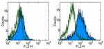 CD11b (activation epitope) Antibody in Flow Cytometry (Flow)