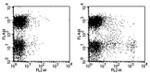 CD11c Antibody in Flow Cytometry (Flow)