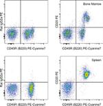 CD20 Antibody in Flow Cytometry (Flow)