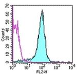 CD31 (PECAM-1) Antibody in Flow Cytometry (Flow)