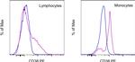 CD38 Antibody in Flow Cytometry (Flow)