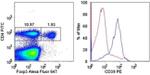 CD39 Antibody in Flow Cytometry (Flow)