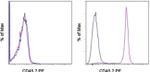 CD45.2 Antibody in Flow Cytometry (Flow)