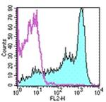 CD62L (L-Selectin) Antibody in Flow Cytometry (Flow)