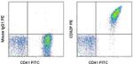 CD62P (P-Selectin) Antibody in Flow Cytometry (Flow)