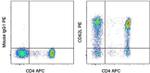 CD62L (L-Selectin) Antibody in Flow Cytometry (Flow)