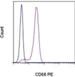 CD68 Antibody in Flow Cytometry (Flow)