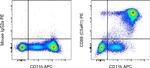 CD88 (C5aR1) Antibody in Flow Cytometry (Flow)