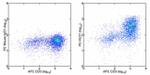 CD109 Antibody in Flow Cytometry (Flow)