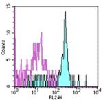 CD116 Antibody in Flow Cytometry (Flow)