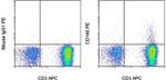 CD146 Antibody in Flow Cytometry (Flow)