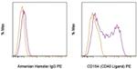 CD154 (CD40 Ligand) Antibody in Flow Cytometry (Flow)