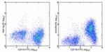 CD195 (CCR5) Antibody in Flow Cytometry (Flow)