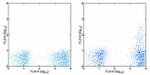 CD195 (CCR5) Antibody in Flow Cytometry (Flow)