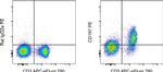 CD197 (CCR7) Antibody in Flow Cytometry (Flow)