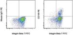 CD199 (CCR9) Antibody in Flow Cytometry (Flow)