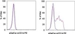 alpha GalCer:CD1d Complex Antibody in Flow Cytometry (Flow)