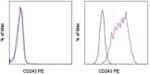 CD243 (ABCB1) Antibody in Flow Cytometry (Flow)