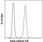 beta Catenin Antibody in Flow Cytometry (Flow)