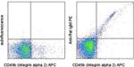 IgM Antibody in Flow Cytometry (Flow)