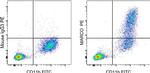 Mouse IgG3 Isotype Control in Flow Cytometry (Flow)