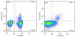 FOXP3 Antibody in Flow Cytometry (Flow)