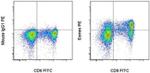 EOMES Antibody in Flow Cytometry (Flow)