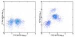 Galectin 3 Antibody in Flow Cytometry (Flow)