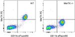 MERTK Antibody in Flow Cytometry (Flow)