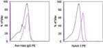 NOTCH3 Antibody in Flow Cytometry (Flow)