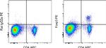 FOXP3 Antibody in Flow Cytometry (Flow)