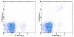 Ly-49A/D Antibody in Flow Cytometry (Flow)