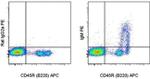 IgM Antibody in Flow Cytometry (Flow)