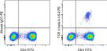 TCR V beta 5.1/5.2 Antibody in Flow Cytometry (Flow)