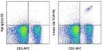 TCR V beta 10b Antibody in Flow Cytometry (Flow)