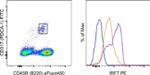 IRF7 Antibody in Flow Cytometry (Flow)