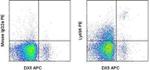 Ly-49A Antibody in Flow Cytometry (Flow)