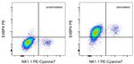 E4BP4 (NFIL3) Antibody in Flow Cytometry (Flow)