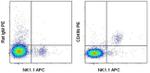 CD49b (Integrin alpha 2) Antibody in Flow Cytometry (Flow)