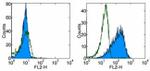 B7-H4 Antibody in Flow Cytometry (Flow)