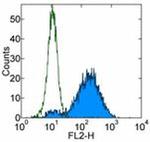 CD265 (RANK) Antibody in Flow Cytometry (Flow)