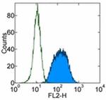 TCL1 Antibody in Flow Cytometry (Flow)