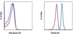 ROR gamma (t) Antibody in Flow Cytometry (Flow)