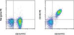 CD185 (CXCR5) Antibody in Flow Cytometry (Flow)